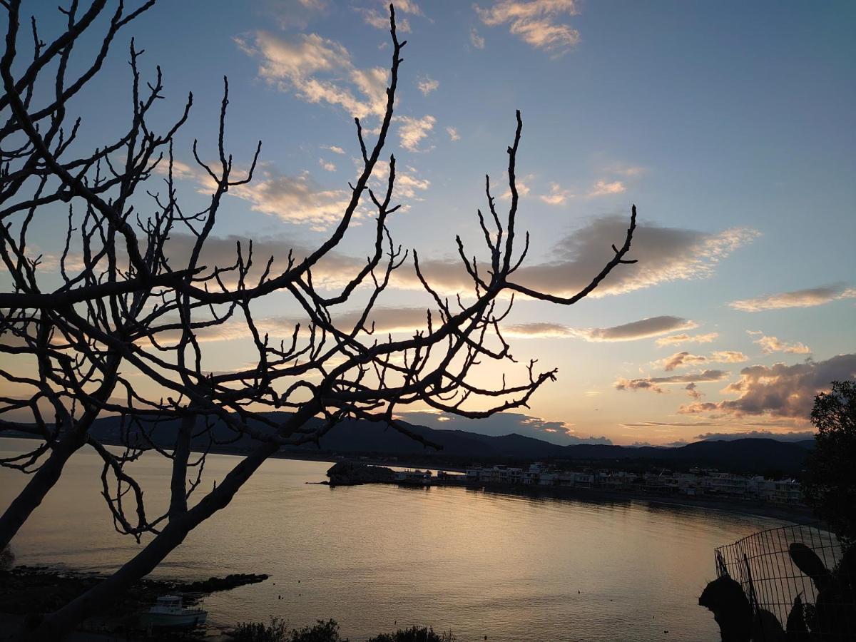 Skizenas Waterfront
